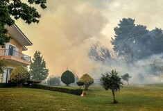 Φωτιά στην Αμαλιάδα: Ισχυροί οι άνεμοι, το μέτωπο κινείται προς το Χάβαρι 