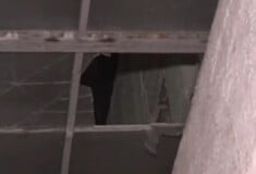 Θεσσαλονίκη: Πληροφορίες ότι ο 14χρονος που έπεσε από ταράτσα, δεν έκανε παρκούρ - Τι λέει αυτόπτης μάρτυρας