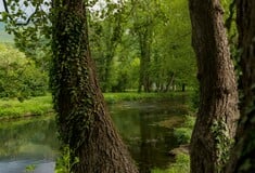 Μόνο το ένα τρίτο των επιφανειακών υδάτων της Ευρώπης είναι καλό, σύμφωνα με μελέτη
