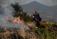 Φωτιά στις Καρίνες Ρεθύμνου