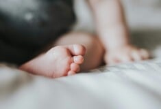 Νεκρά μωρά - Αμαλιάδα: Ζούσε κάτω από φρικτές συνθήκες, λέει ο πρόεδρος του «Χαμόγελου του παιδιού» για την 24χρονη