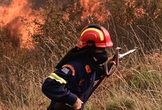 Φωτιά τώρα στο Σούλι Αχαΐας, σε δύσβατη δασική περιοχή
