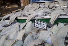 Δεν είναι μόνο ο τόνος: Αυτές είναι οι τροφές που είναι υψηλές σε υδράργυρο