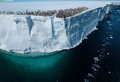 Δείτε τις πέντε καλύτερες φωτογραφίες του National Geographic για το 2024