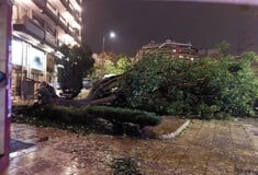 Κακοκαιρία στη Θεσσαλονίκη: Θυελλώδεις άνεμοι ξερίζωσαν δέντρα