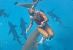 Καρχαρίας δάγκωσε influencer και «απογείωσε» το Instagram προφίλ της με σχεδόν 20 εκατ. προβολές