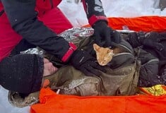 Ουκρανός διασώθηκε με τη γάτα του στα Καρπάθια - Δραπέτευσε για να αποφύγει τον πόλεμο 