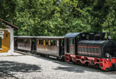 Πήλιο: Αρχίζουν ξανά τα δρομολόγια του «Μουτζούρη»