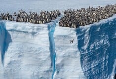 Οι φωτογραφίες της χρονιάς από το National Geographic
