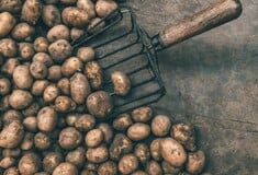 Στις ΗΠΑ τροποποίησαν πατάτες γενετικά για να αντέχουν στον καύσωνα 