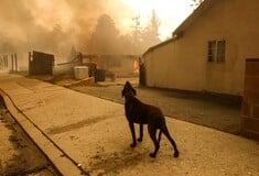 Φωτιές στο Λος Άντζελες: Πώς μια σπίθα σε έναν κήπο μετατράπηκε στη χειρότερη πυρκαγιά της πόλης