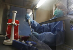 Φυματίωση: Πάνω από 10.000 επιβεβαιωμένα κρούσματα στις ΗΠΑ το 2024, τα περισσότερα από το 2011