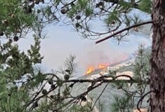 Φωτιά στη Λευκάδα - Εστάλη μήνυμα από το 112