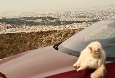Καιρός σήμερα: Με αφρικανική σκόνη, νεφώσεις και βροχές η 25η Μαρτίου