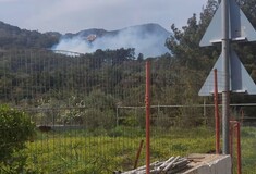 Φωτιά τώρα στη Σάμο: Καίγεται δάσος στην περιοχή Λέκκα
