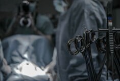 Πώς πραγματοποιήθηκε η πρώτη μεταμόσχευση ήπατος από χοίρο σε άνθρωπο στην ιστορία