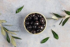 Δασμοί Τραμπ στην ελιά, το Νο. 1 εξαγώγιμο αγροτικό προϊόν της Ελλάδας