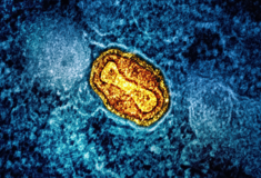 Νέα «πιο επιθετική παραλλαγή» mpox στην Ευρώπη - «Ανησυχητικό που υπάρχει ιστορικό ταξιδίου»