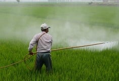 «Τοξικά κοκτέιλ» χημικών μέσα στα σπίτια: Δεκάδες φυτοφάρμακα εντοπίστηκαν σε δείγματα σκόνης στην Ευρώπη