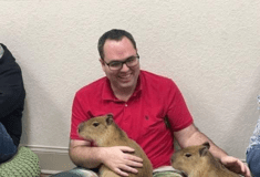 Capybara Cafe: Τα πιο viral τρωκτικά του διαδικτύου απέκτησαν το δικό τους «καφέ»