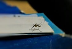 Κολομβία: Σε κατάσταση έκτακτης ανάγκης η χώρα λόγω αύξησης των κρουσμάτων κίτρινου πυρετού