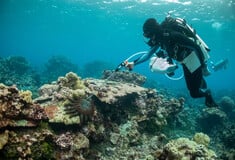 Ο Τραμπ ανοίγει τεράστια θαλάσσια προστατευόμενη ζώνη για εμπορική αλιεία