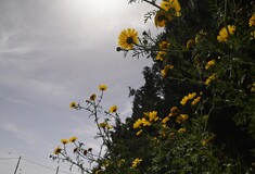 Ο καιρός σήμερα Μεγάλο Σάββατο: Υψηλές θερμοκρασίες με τοπικές βροχές