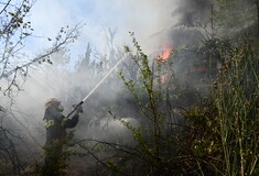 Κεφαλονιά: Υπό μερικό έλεγχο η φωτιά