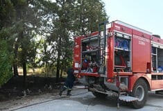 Υπό μερικό έλεγχο η φωτιά στην Κερατέα