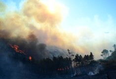 Φωτιά στην Κερατέα: Μικρή αναζωπύρωση λόγω ισχυρών ανέμων