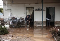 Μάνδρα: Ο Άρειος Πάγος ακυρώνει τις απαλλαγές για ανθρωποκτονία από αμέλεια