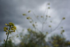 Κιαρός - Τσατραφύλλιας: Με καταιγίδες και θυελλώδεις βοριάδες η Πρωτομαγιά