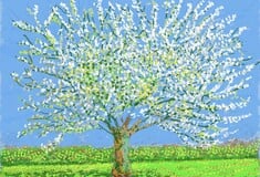 David Hockney: «Τα καλά νέα είναι ότι ήρθε η άνοιξη»