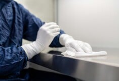 Πότε πρέπει να γίνεται η απεντόμωση για κατσαρίδες
