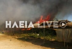 ΦΩΤΙΑ ΤΩΡΑ ΜΑΝΩΛΑΔΑ