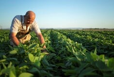 Eurostat: Οι Έλληνες εργάζονται τις περισσότερες ώρες την εβδομάδα στην Ευρώπη - Ποιοι δουλεύουν λιγότερο