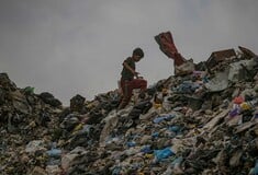 Ντόναλντ Τραμπ: «Οι άνθρωποι στη Γάζα λιμοκτονούν»
