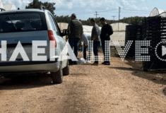 Ηλεία: Ο 24χρονος εργάτης δολοφονήθηκε την ώρα που μάζευε φράουλες 
