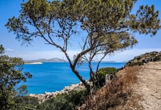 Καιρός: Αυξάνεται η θερμοκρασία μετά την κακοκαιρία Ines