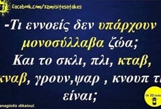 Οι Μεγάλες Αλήθειες της Τετάρτης 21/5/2025