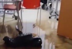 ΛΥΜΑΤΑ ΠΑΙΔΙΑΤΡΙΚΗ ΚΛΙΝΙΚΗ ΡΙΟΥ ΠΑΤΡΑ