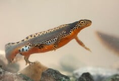 Η Ευρωπαϊκή Ημέρα του Δικτύου Natura 2000 μέσα από 5 φωτογραφίες