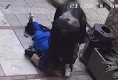 ΗΡΑΚΛΕΙΟ ΚΡΗΤΗ ΑΝΙΨΙΑ ΘΕΙΑ ΞΥΛΟΔΑΡΜΟΣ