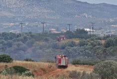 Μαρκόπουλο: Καλύτερη εικόνα από τη φωτιά - Συνεχίζεται η επιχείρηση κατάσβεσης
