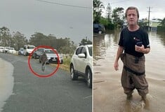 Αυστραλία: Κανγκουρό επιχείρησε να πνίξει άνδρα μετά από «μάχη σώμα με σώμα» σε πλημμυρισμένο δρόμο