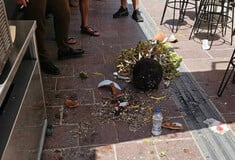 Χανιά: Στο νοσοκομείο τουρίστρια μετά από πτώση γλάστρας στο κεφάλι της λόγω ανέμων
