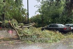 Μπουρίνι στη Λαμία: Πτώσεις δέντρων, πλημμυρισμένοι δρόμοι και πολύωρο μπλακάουτ
