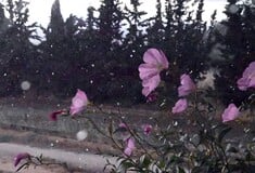 Καιρός: Χάρτες meteo για την αστάθεια - Πού αναμένονται βροχές και καταιγίδες σήμερα
