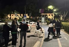 Τούρκος σεισμολόγος: Είναι από τα μέρη που μπορούν να δώσουν σεισμούς 8 Ρίχτερ