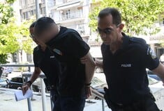 ΓΑΤΑΚΙ ΘΕΣΣΑΛΟΝΙΚΗ